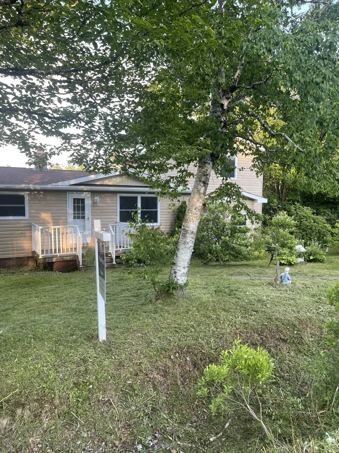 Cleaned and maintained front yard