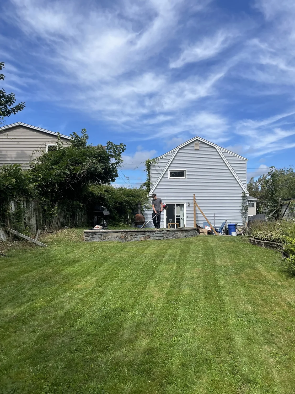 Freshly cut backyard lawn
