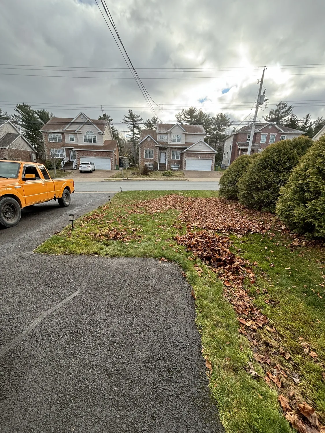 Before: front lawn covered with fallen leaves