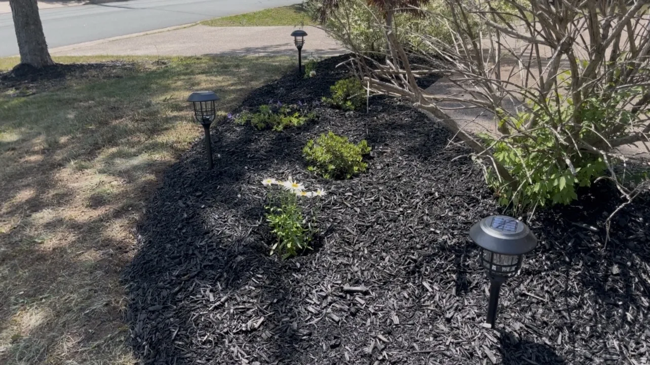 Finished black mulch bed with flowers and landscape lights