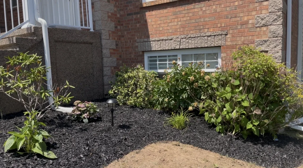 Black mulch bed beside brick home