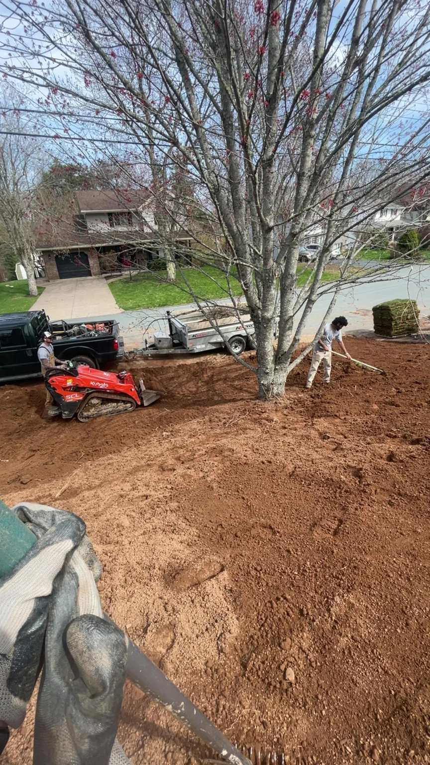Before: front yard during grading and soil preparation