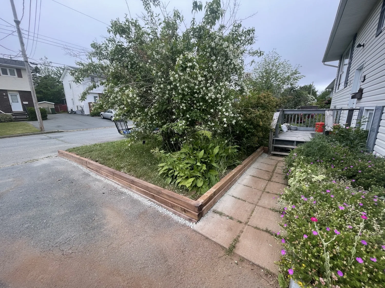After: new pressure-treated timber border around garden